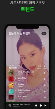 Melon正版