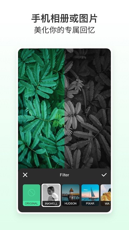 美图大师