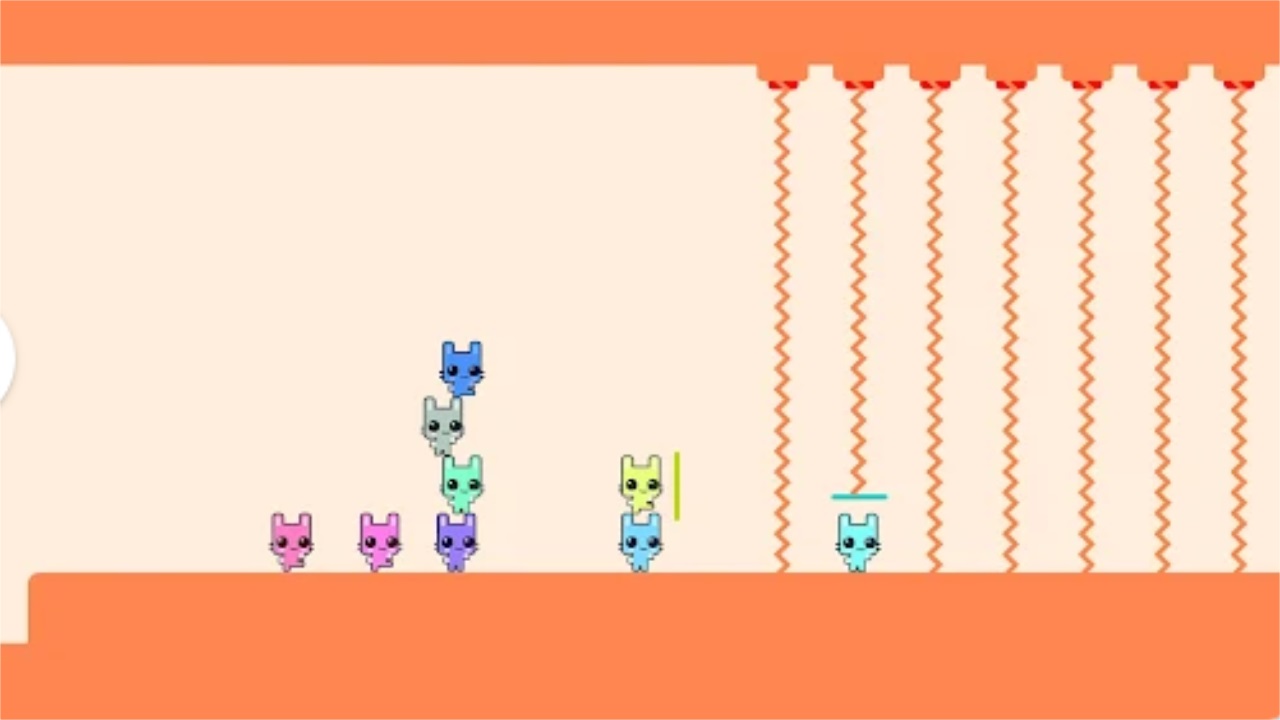 猫猫公园