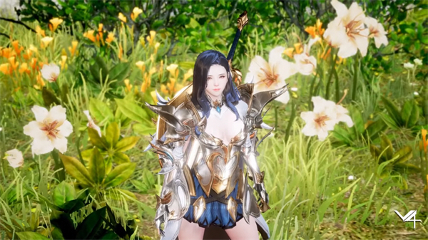 V4国际服