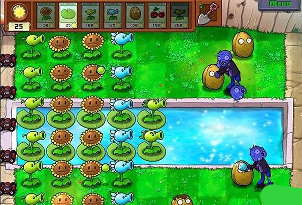 植物大战僵尸原始版