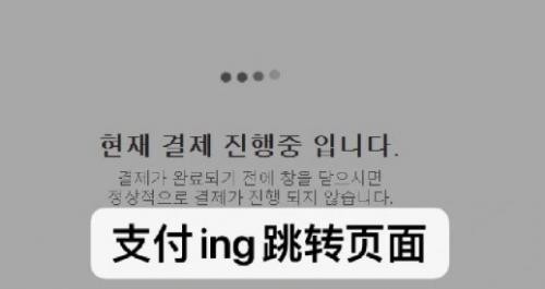 Melon Ticket