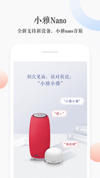 小雅