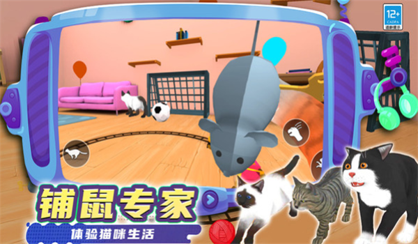 奇妙猫猫王国