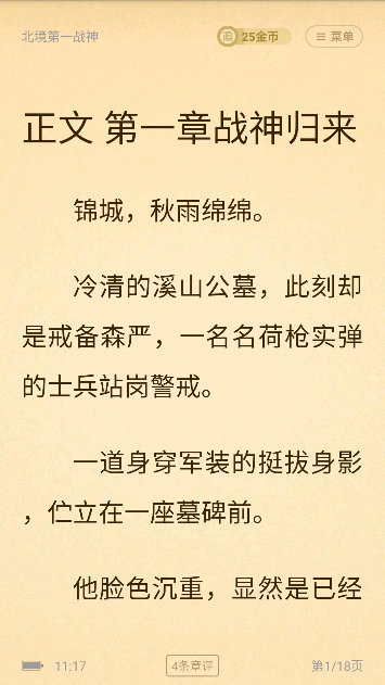 饭团追书