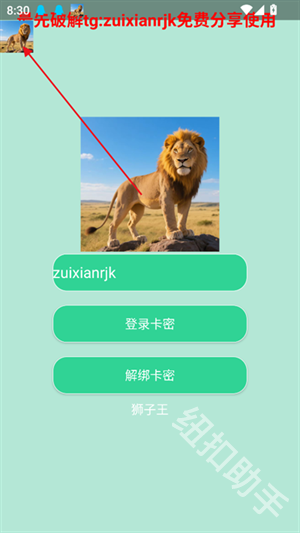 和平精英狮子王直装