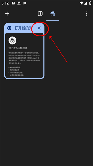 Chrome谷歌浏览器