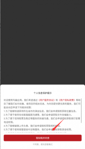 鸟巢
