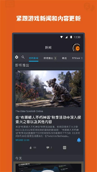 蒸汽平台