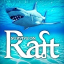 Survive on Raft