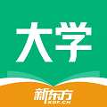 新东方考研四六级手机版(新东方大学考试)